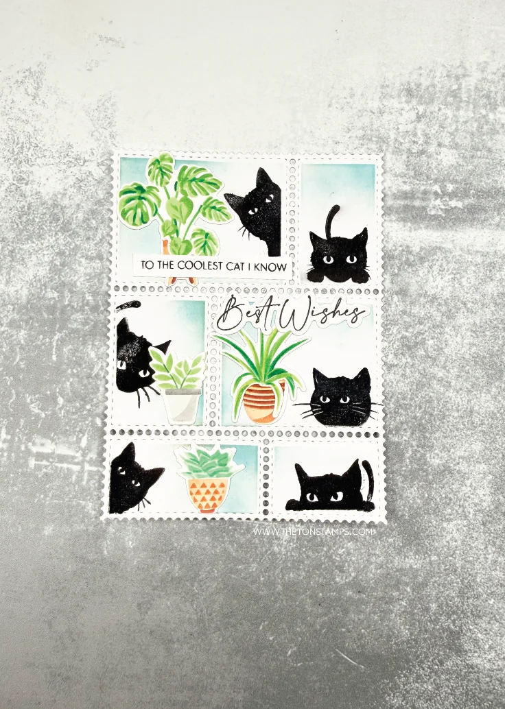 2026 Augustus Release Clematis - Summer Clothing Release recensie en prijs